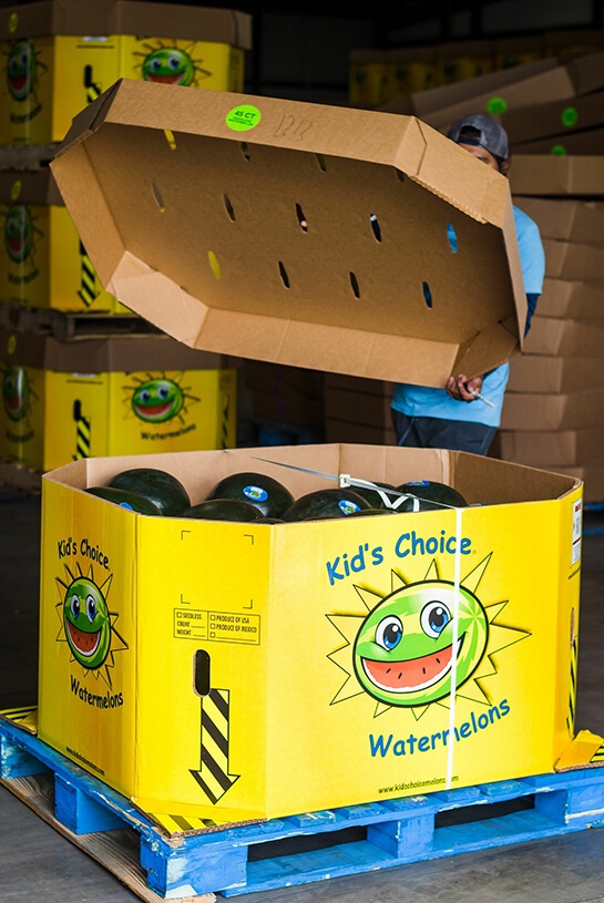 Nutrition Kids Choice Watermelons shipped fresh