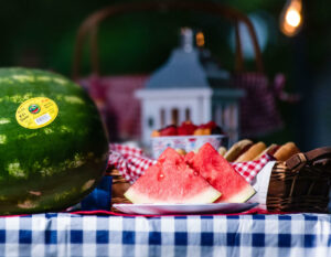 Kids Choice Watermelons Gallery holidays