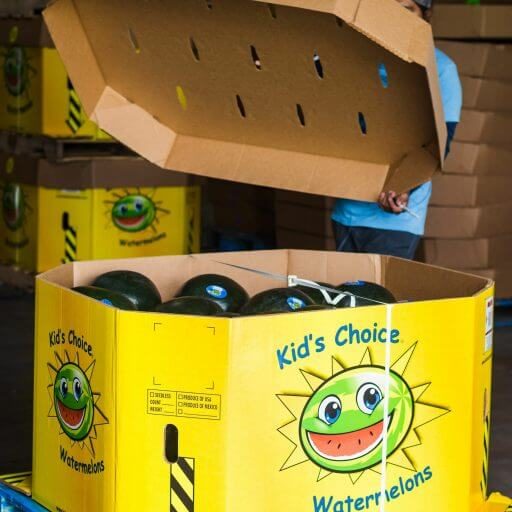 kids_choice_watermelons_were_to_buy what we do kids choice watermelons where to buy